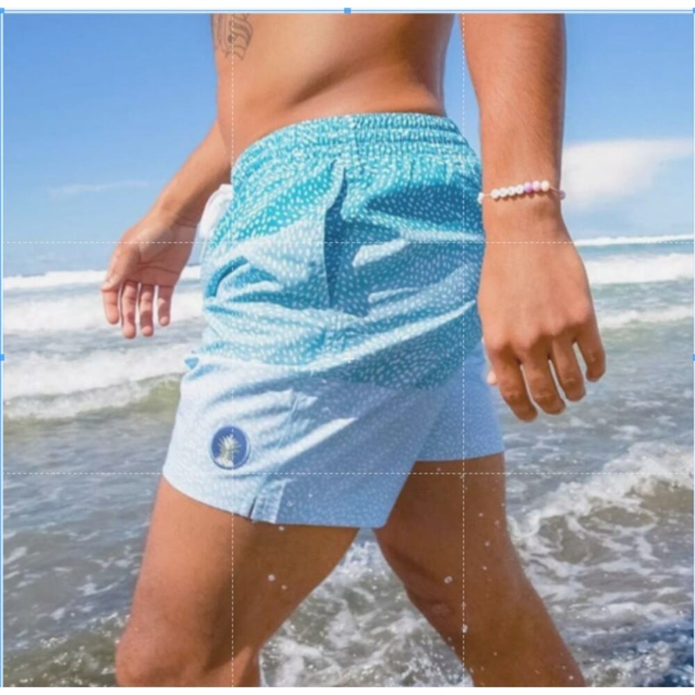 Chubbies Men's Swim Trunks w/ Liner Shorts SMALL NWOT